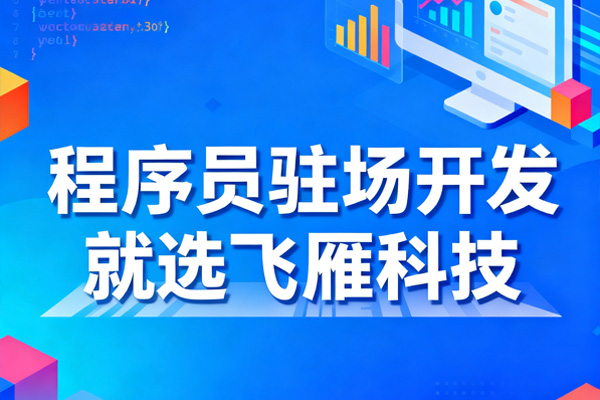 程序员驻场开发