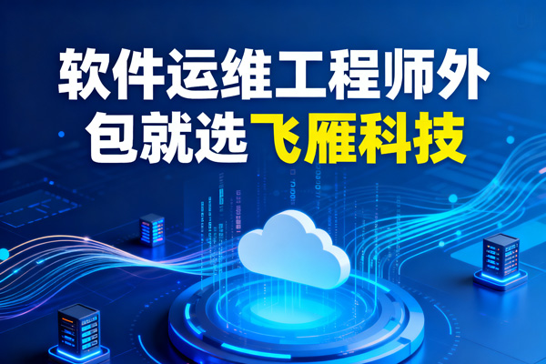 软件运维外包